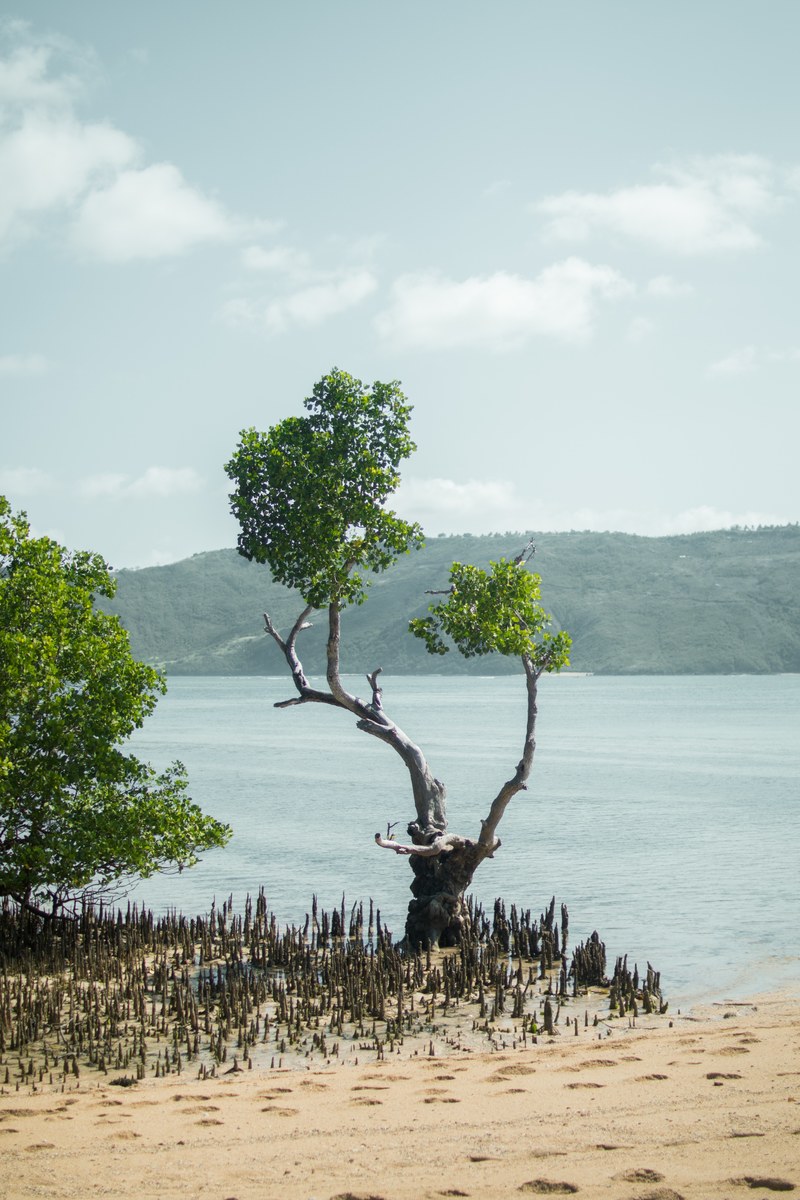 beautiful nature 4k