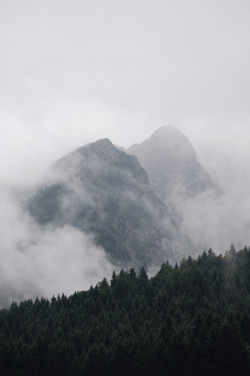 two tall mountains wreathed in dense mist near evergreen woods, mountains and clouds 4k