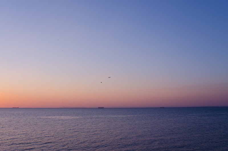 melbourne australium silhouette and peaceful 4k