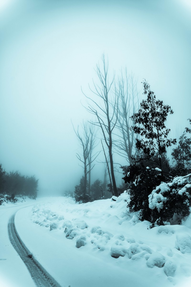 snow winter road snowy road and winter hd, 4k