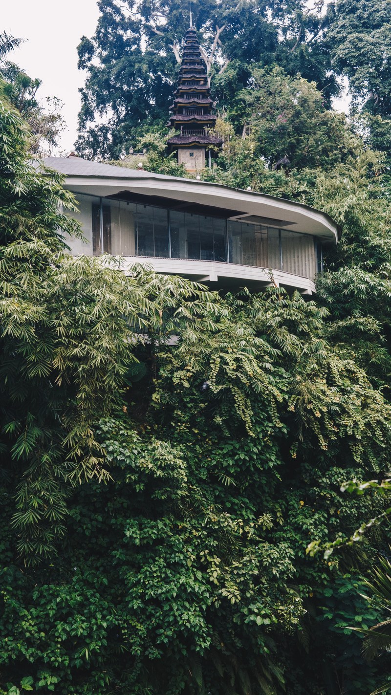 house green and tree hd, 4k