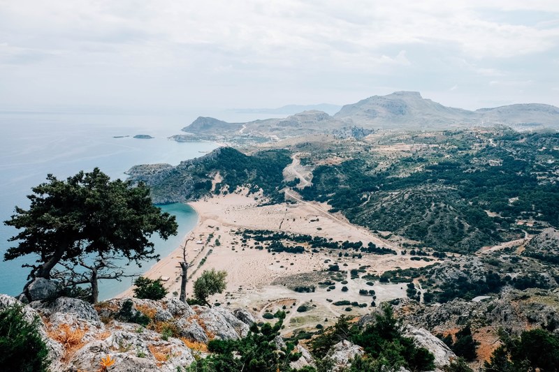 shrubs on hills near a sandy beach, hills near a beach 4k