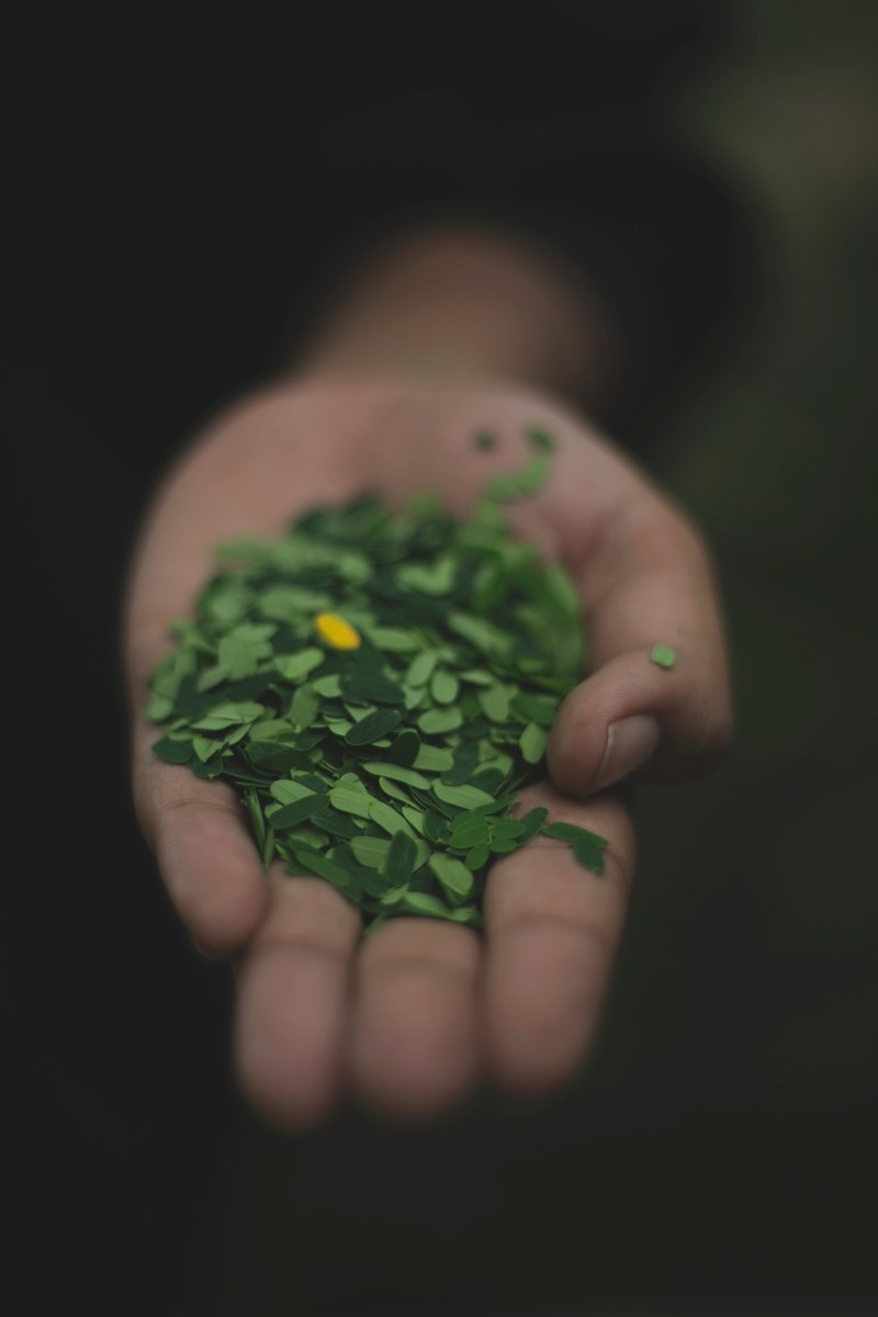 leafe green hand and leaf hd, 4k