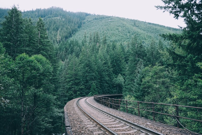 an elevated railroad track in a dense evergreen forest, elevated railroad track 4k