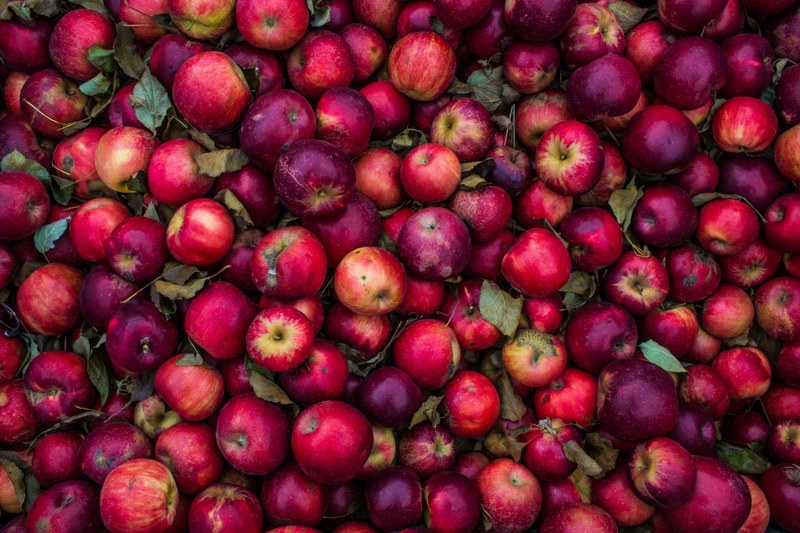 pile of freshly picked red apples and purple fruit, freshly picked apples 4k