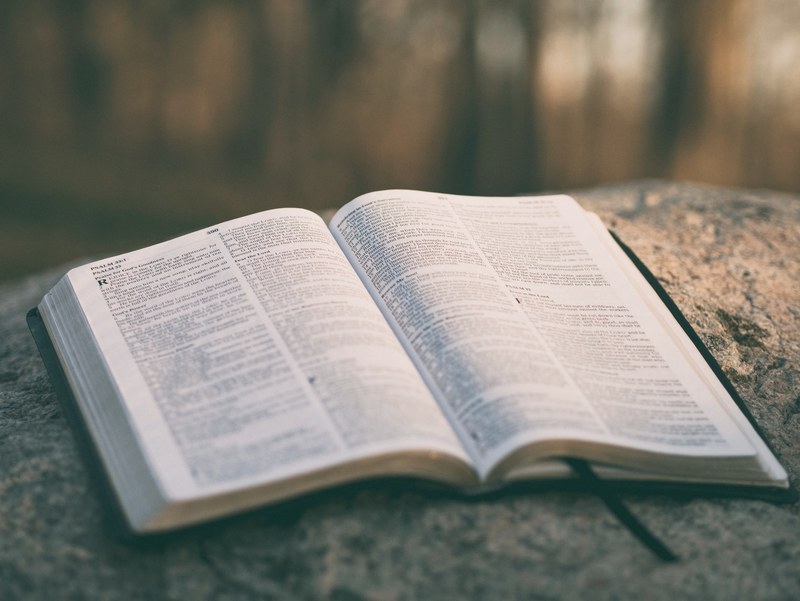 book bible scripture and book page 4k