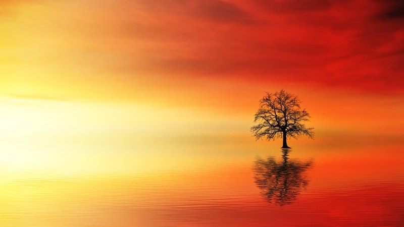quiet calm sunset and sky 4k