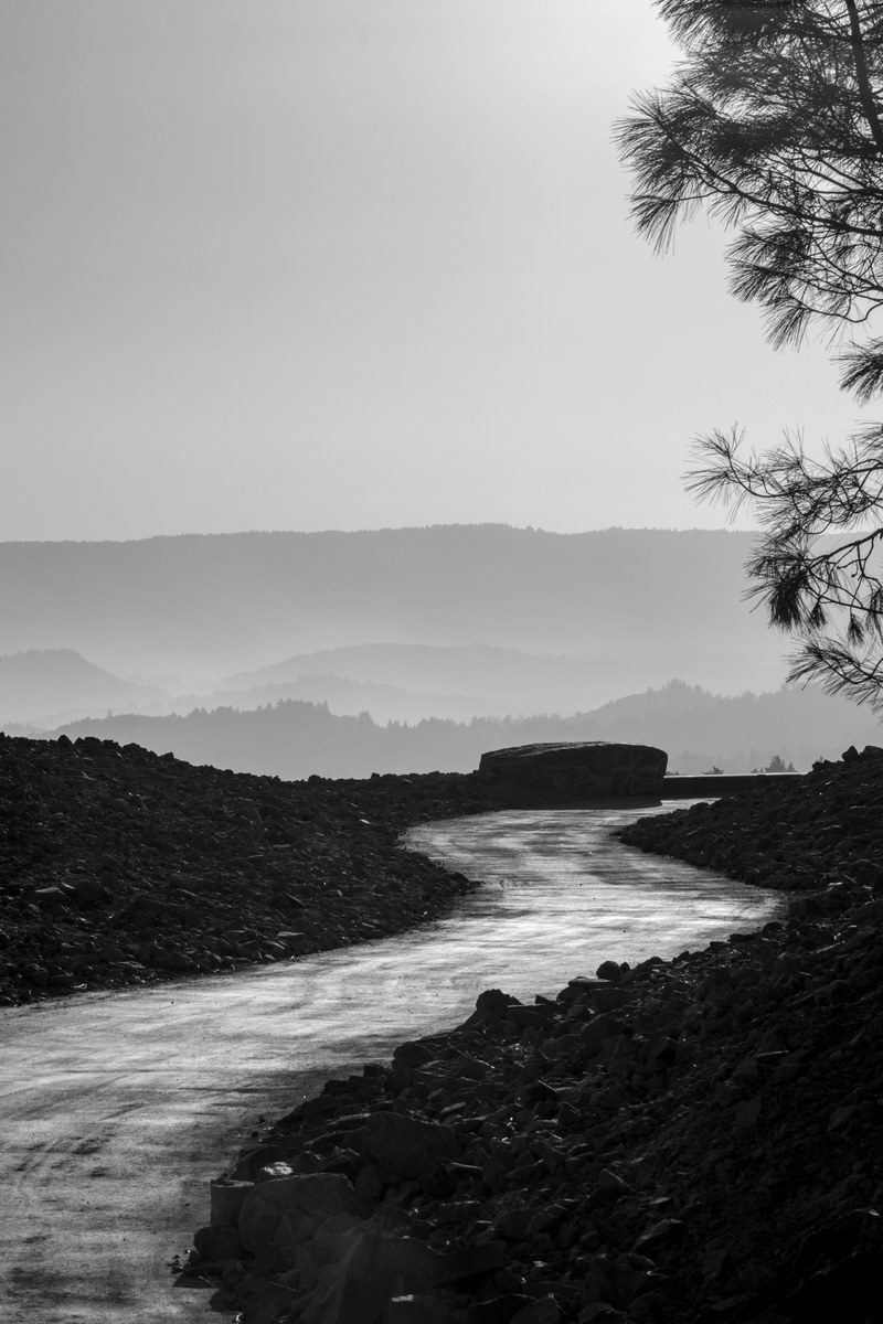 nature haze tree and rock hd, 4k