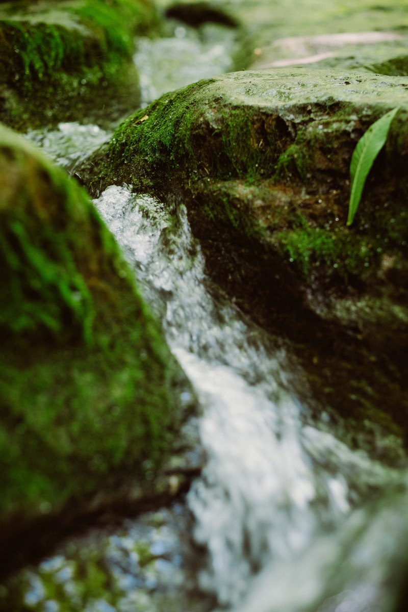 creek stream moss and rock hd, 4k