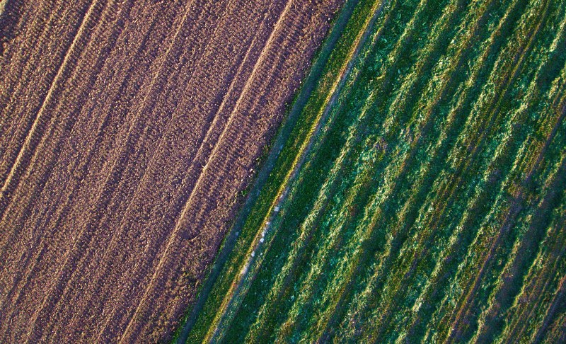 abstract agricultural art 4k