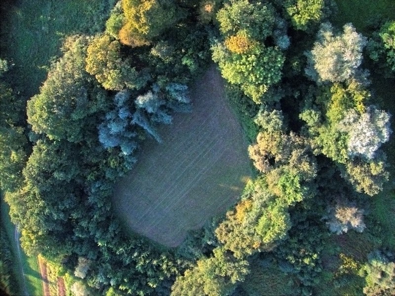 a secluded field 4k