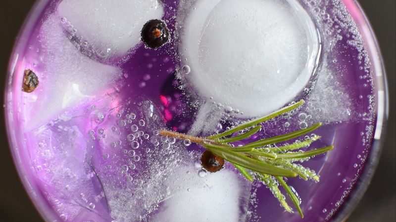 tonic, rosemary, currant, ice, 4k
