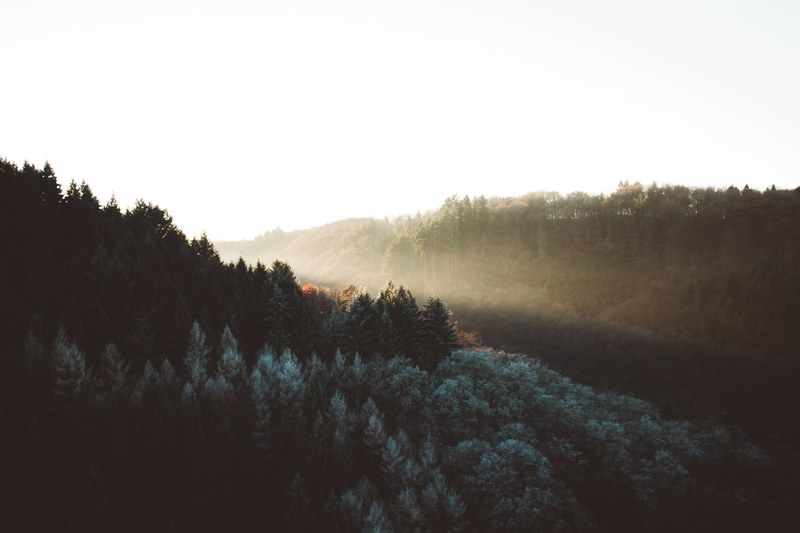 the sun goes down 4k