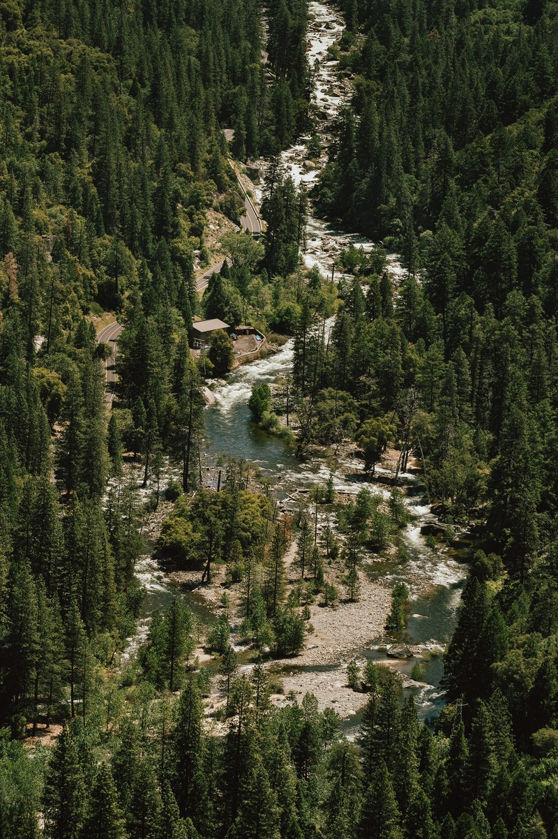 forest stream creek and hd, 4k