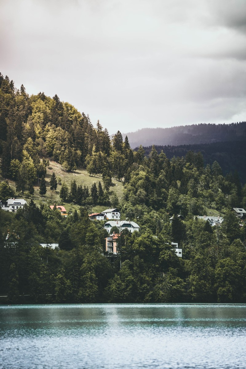 houses on the wooded shore of a lake in bled, layers built by nature 4k