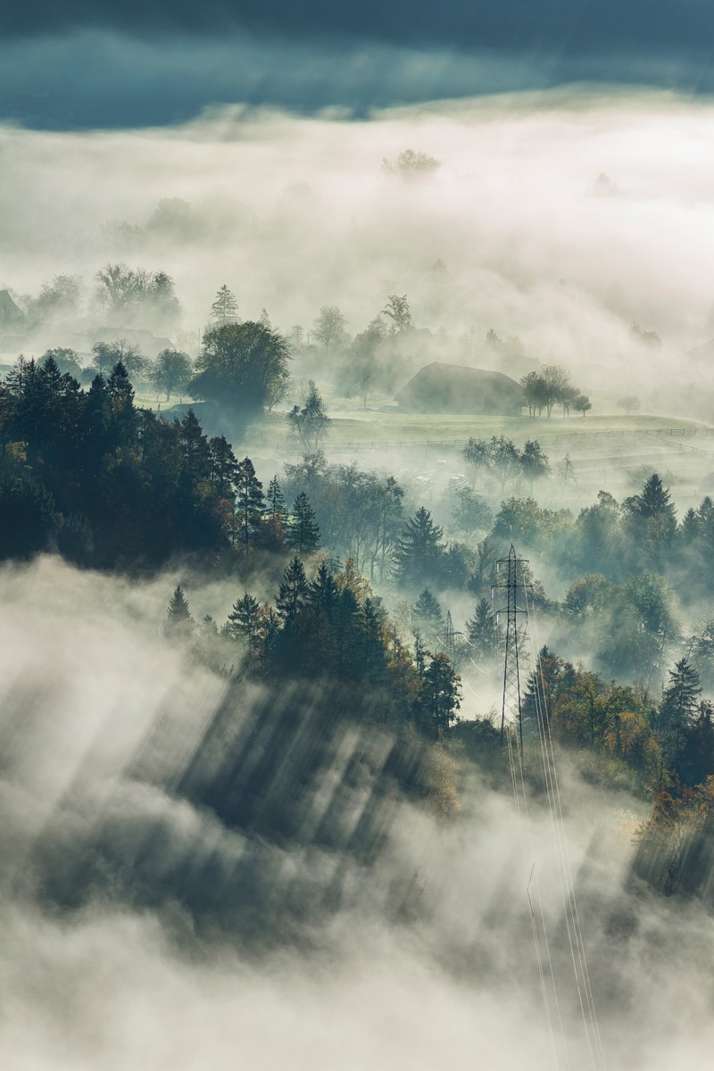 a rural landscape with trees and transmission towers under a thick mist, transmission towers in fog 4k