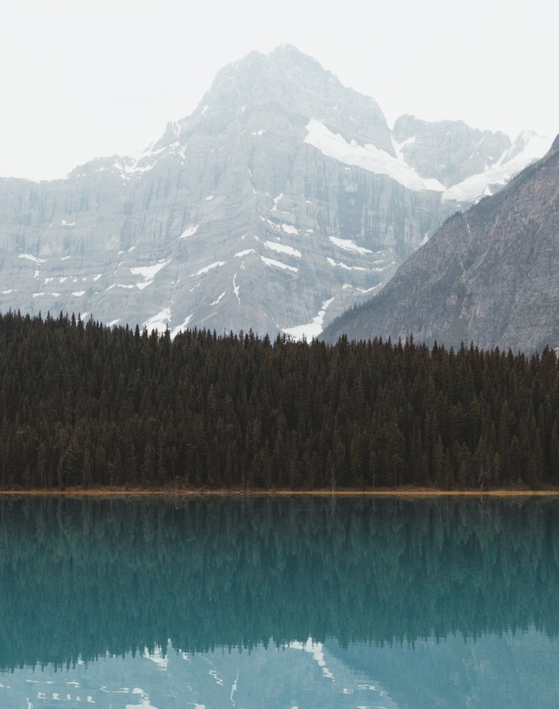morning views in alberta 4k