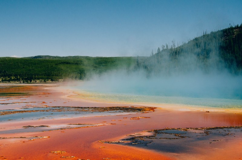 trees in nature with hot spring water geyser and mud lake in spring yellowstone national park, yellowstone geyser trees 4k