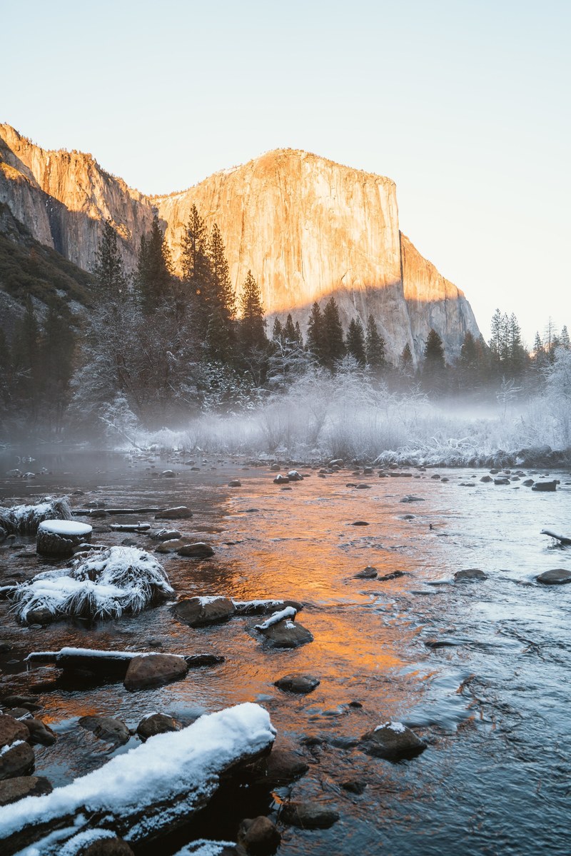 out in the wilderness 4k