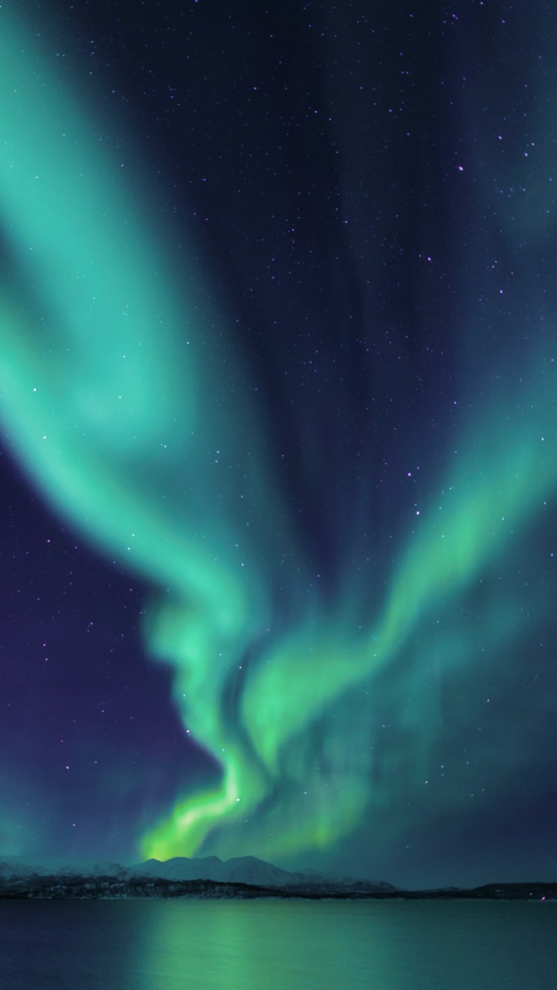 dreamlike moment 4k