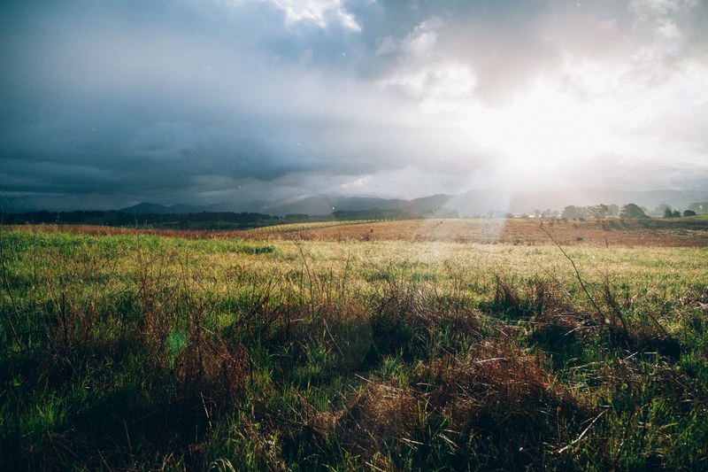 landscape field plain and sunlight 4k