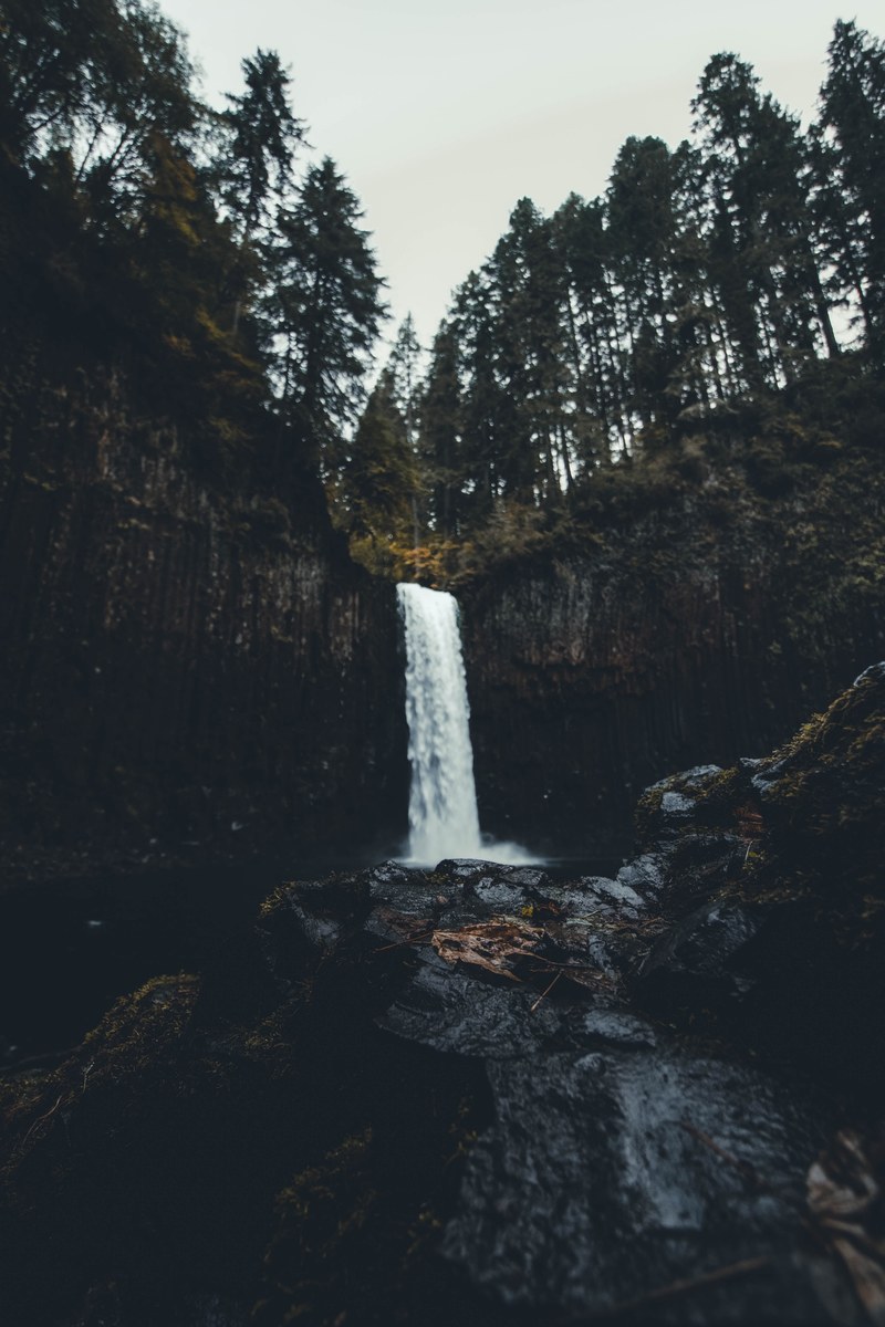 waterfall tree mountain and water hd, 4k