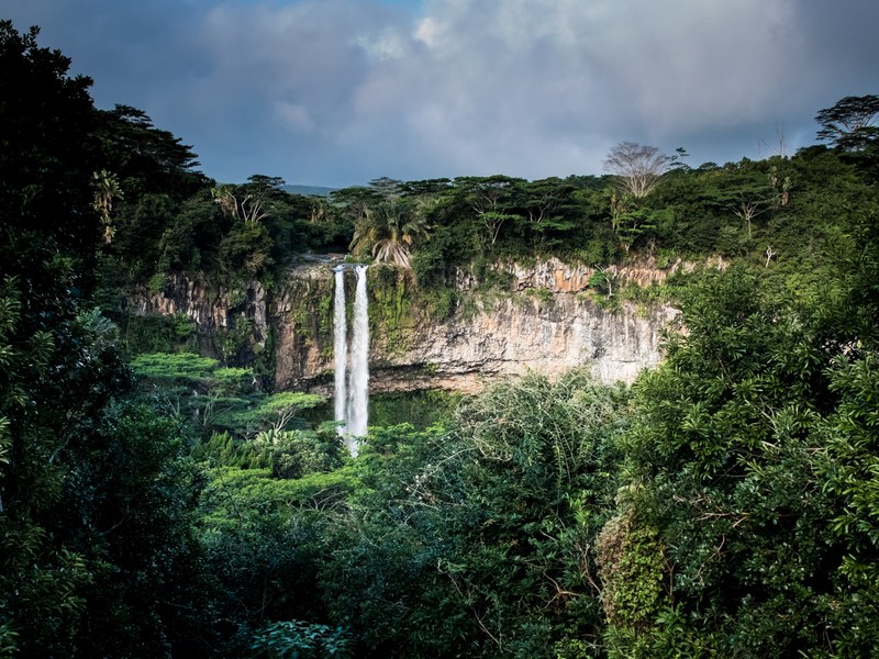 a waterfall pouring down from a forested cliff, woods near chamarel waterfall 4k