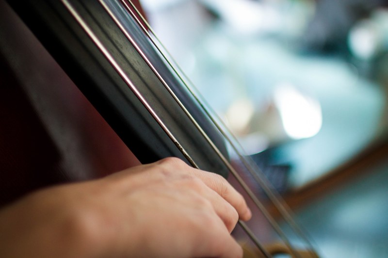 a close up of a person playing a string instrument, string musicians hands 4k