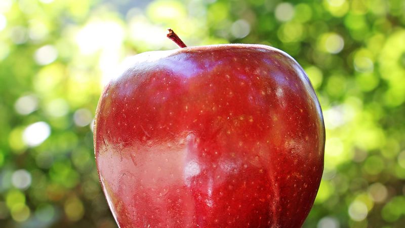 apple, fruit, ripe, close-up, 4k