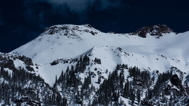 mountains, snow, trees, top, 4k