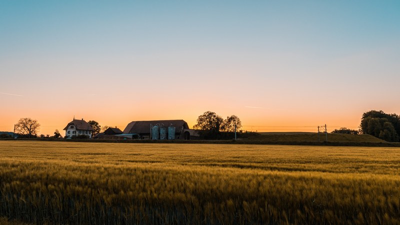 the sun setting over a farmhouse and wheat field in fribourg, wheat field farm house at sunset 4k