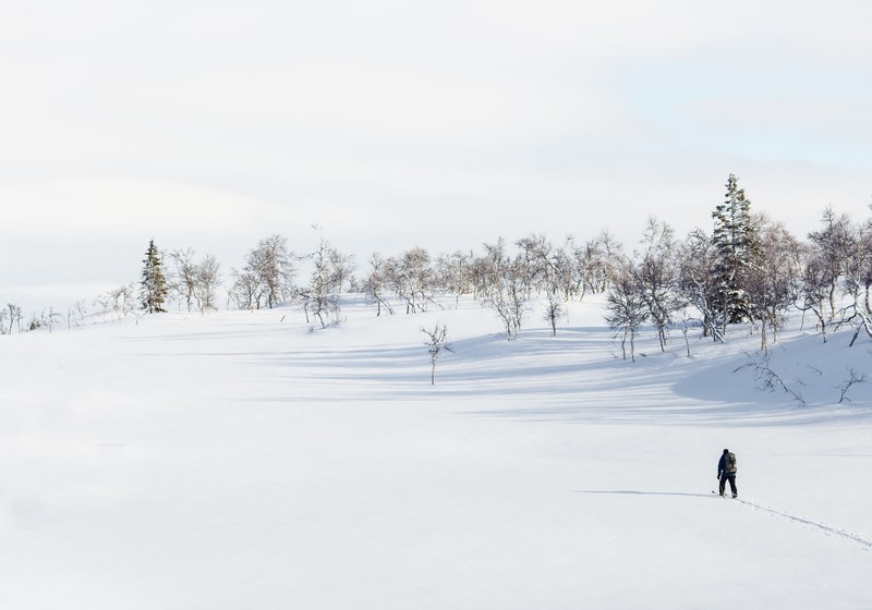 a person hiking in the snow with trees in the pale background, person hiking on pale snow background 4k