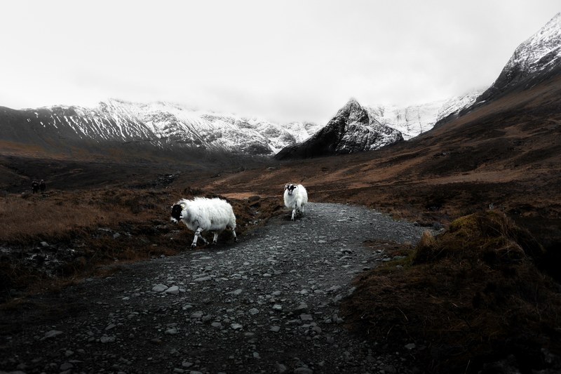 guardians of the fairy pools 4k