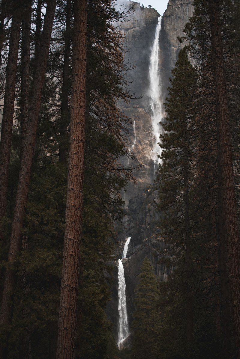 point of view 4k