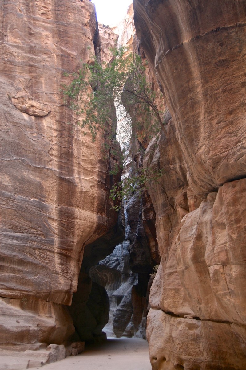 the entrance to petra jordan 4k