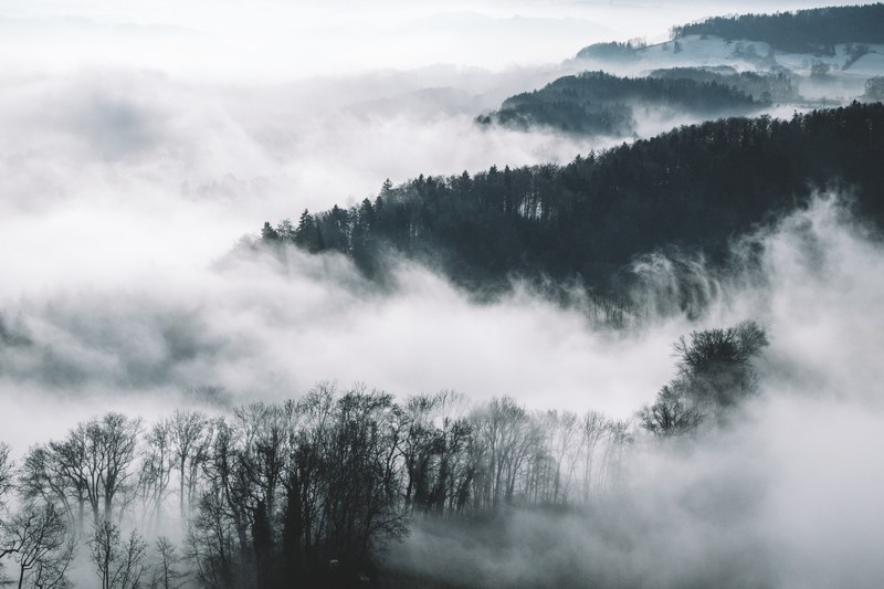 a wooded landscape shrouded in thick mist, sea of fog 4k