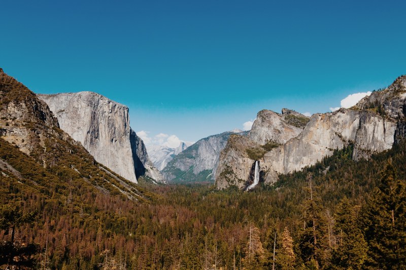 yosemite valley on a bright cloudless days surrounded by forest trees, yosemite valley 4k