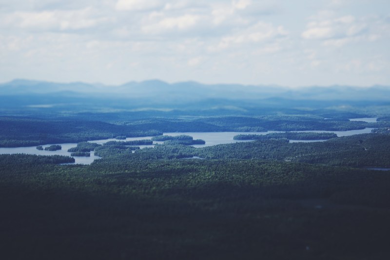 a lake in a forested area with small islands on it, forested lake islands 4k