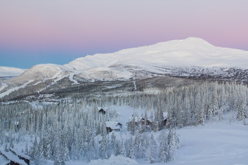 a pink and purple sunrise behind a snow laden mountain and trees near a homestead, cotton candy sunrise on a snowy morning 4k