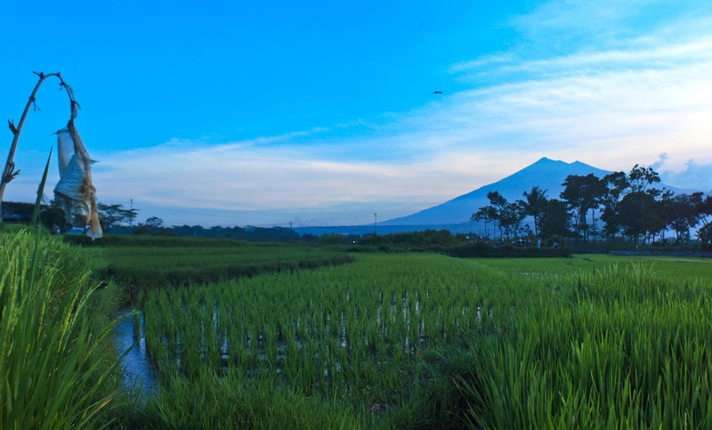 afternoon mountain digital photography and landscape photography 4k