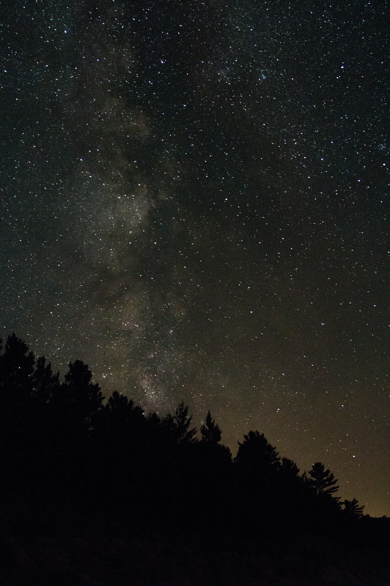 slope forest silhouetted against a star studded night sky in pictured rocks, stars forest pictured rocks 4k