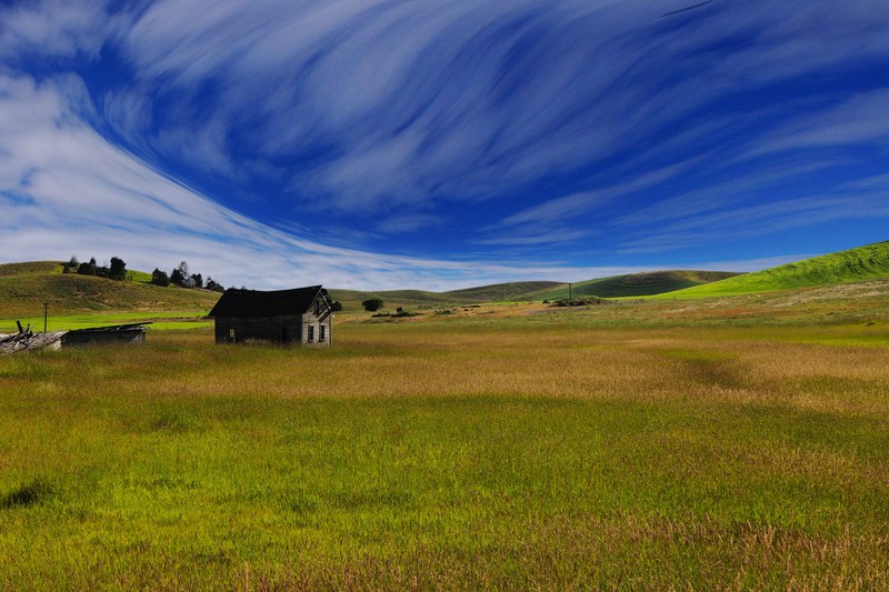 a wooden shack in the middle of a green and yellow field, the cabin 4k