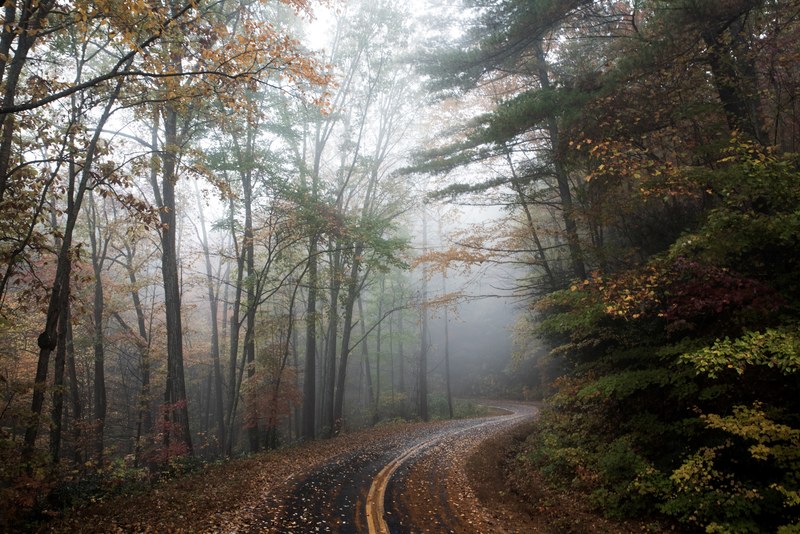 an empty leaf covered road winding through an autumn forest in blowing rock, bend in the forest road 4k