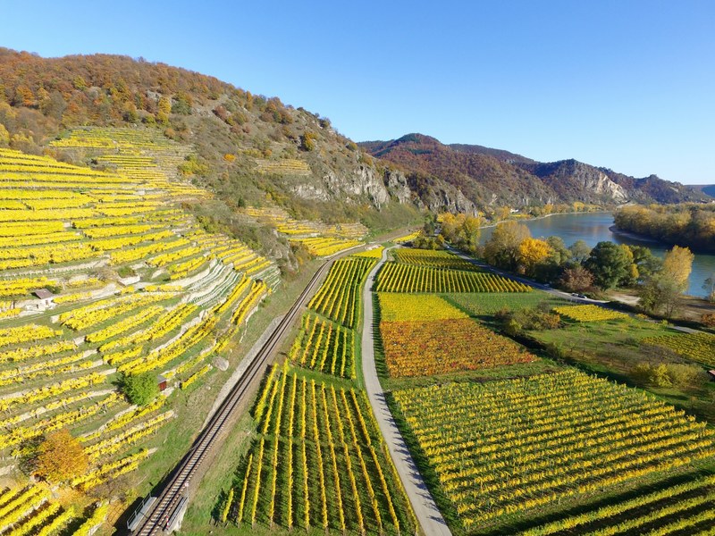 farm agriculture autumn and hill 4k