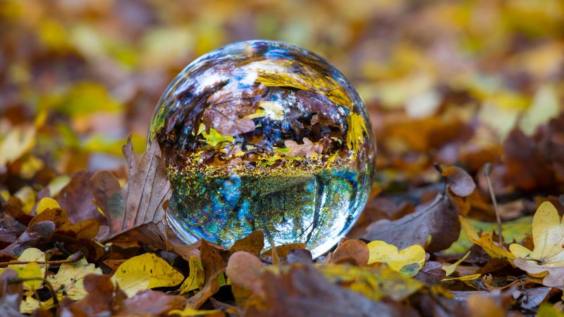 ball, glass, sphere, fall, foliage, 4k
