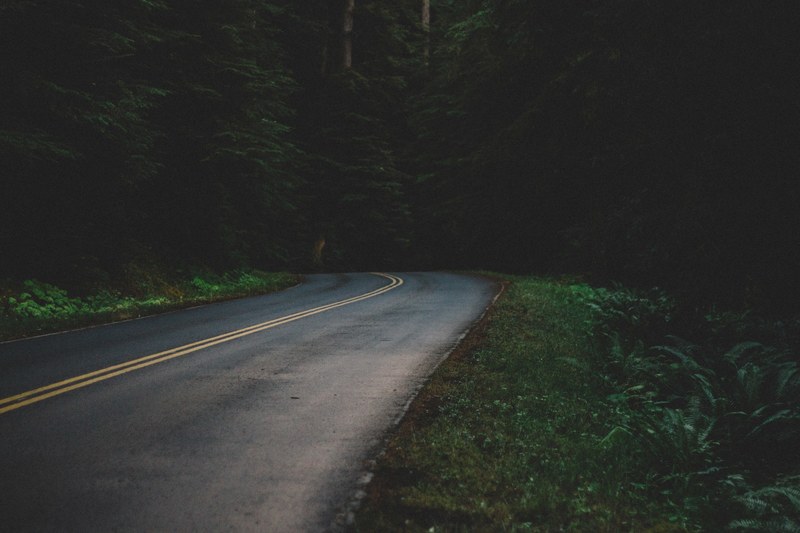 open road winds through lush green trees in the forest, road bend in a dark forest 4k
