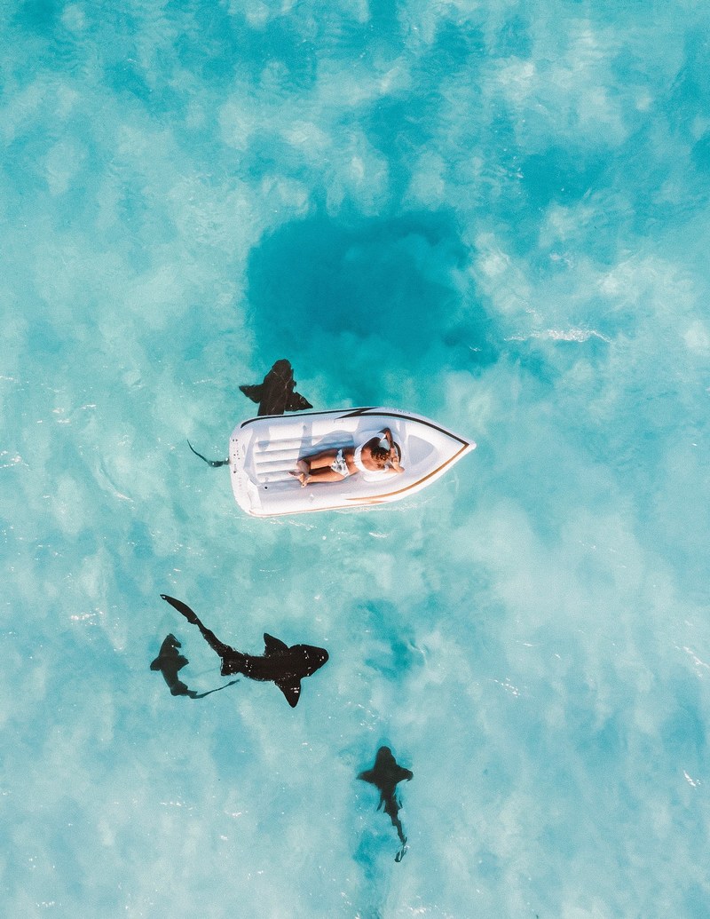 what lies beneath 4k