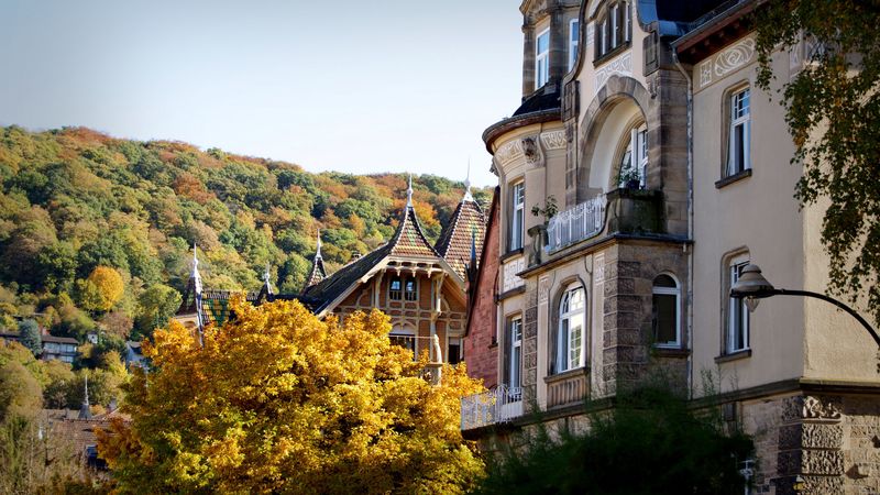 heidelberg, germany, building, architecture, autumn, forest, 4k