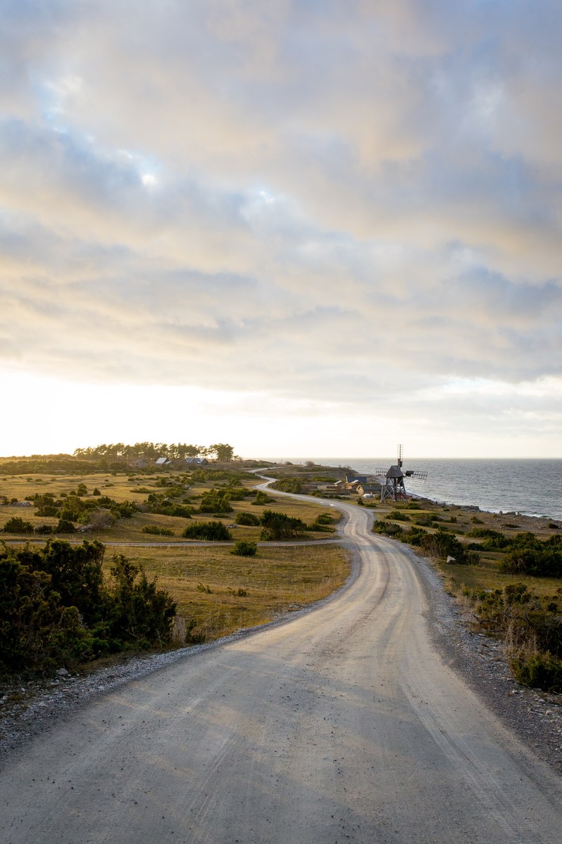 road windmill tree and ocean hd, 4k