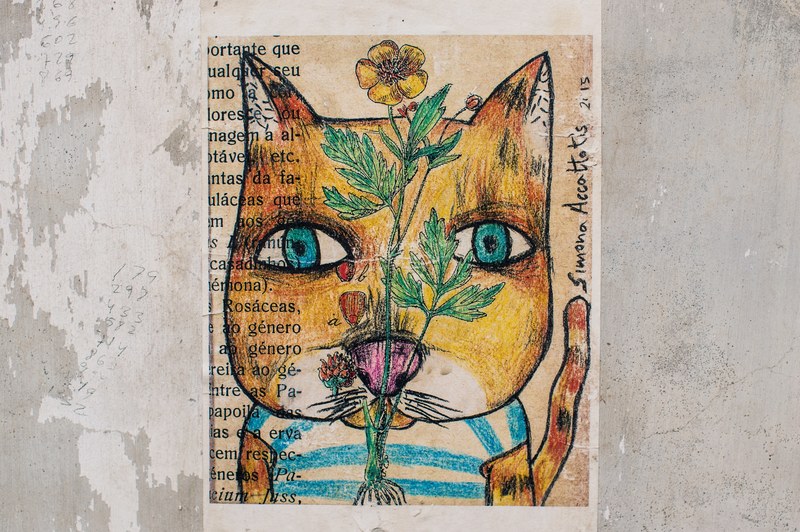 abstract street art painting of cat with blue eyes and flower on textured gray wall, abstract cat street art 4k